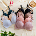 C Cup Size Padded Pushup Wired Lace Pattern Bra (087)