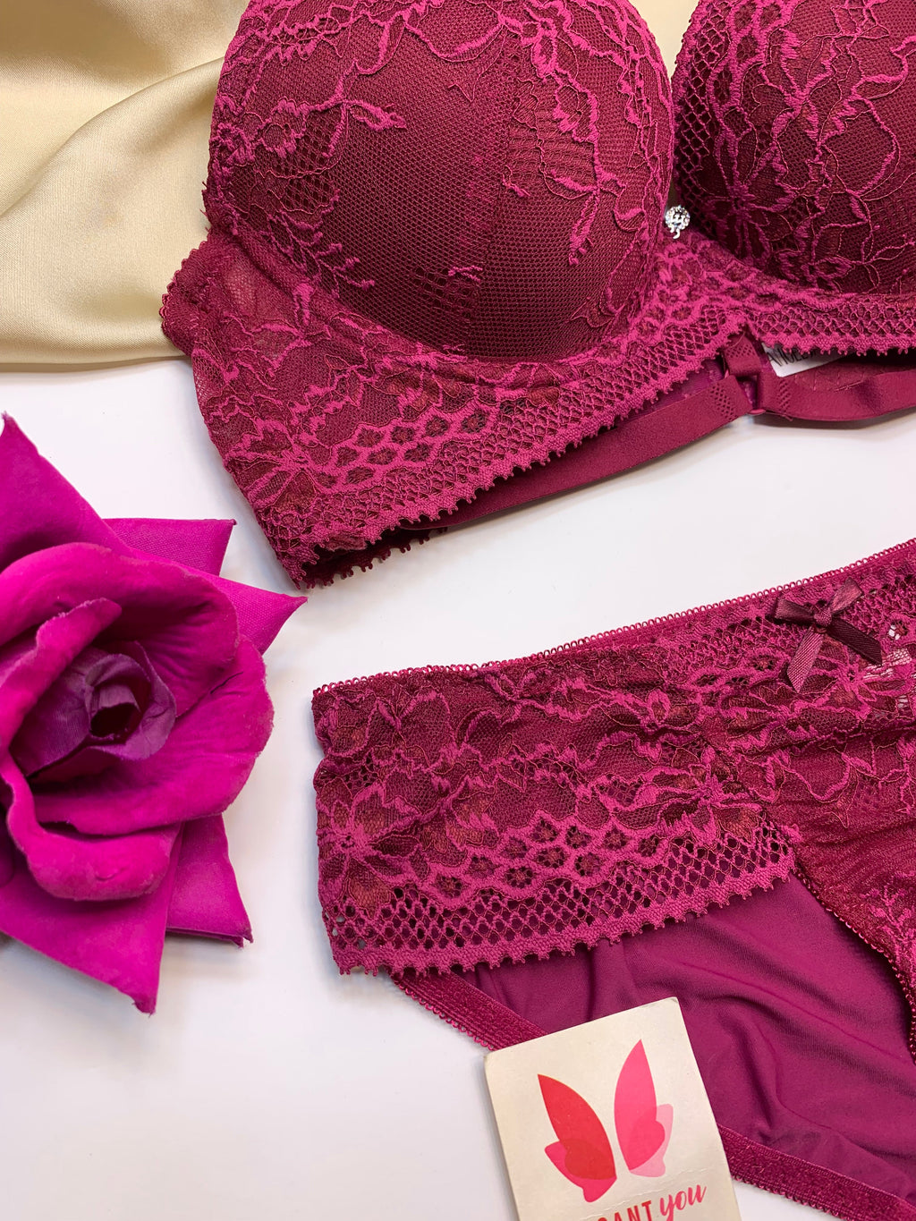 Bridal Lace Pattern Padded Pushup Wire Bra & Matching Underwear (009)