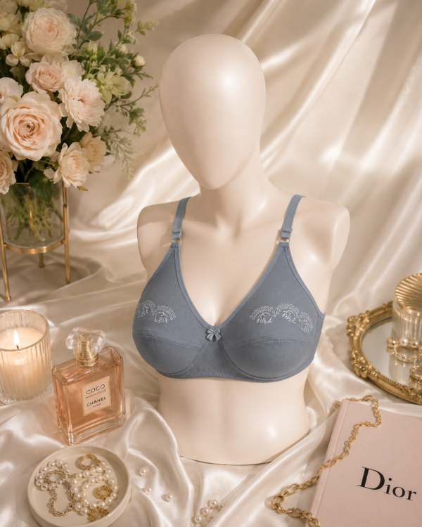 Summer Hosiery Bra Pakistan — Grey | Non-Padded Wireless | FEMBRA